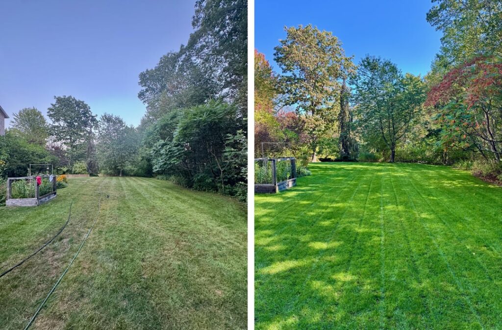 Thank you for the guidance – before & after’s from southern Maine Thank you for the guidance - before & after's from southern Maine