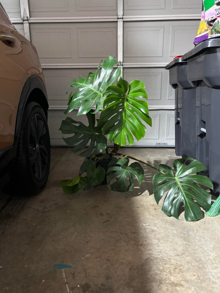 Just got home with this baddie Just got home with this baddie