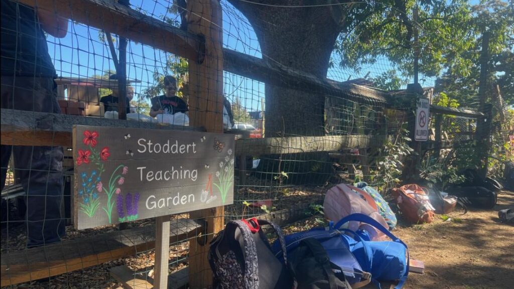 Garden Smart: DC Schools celebrate Garden Week Garden Smart: DC Schools celebrate Garden Week