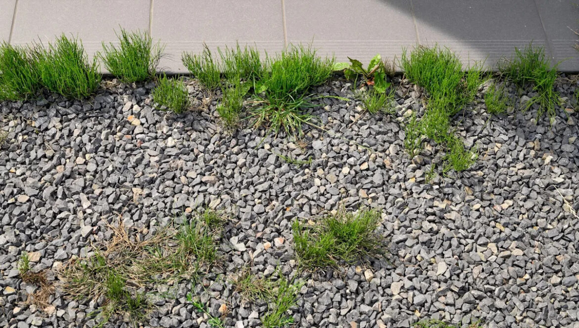 Homeowner dismayed after unknowingly running afoul of strict HOA rule: ‘Whoops’ Yahoo lifestyle home