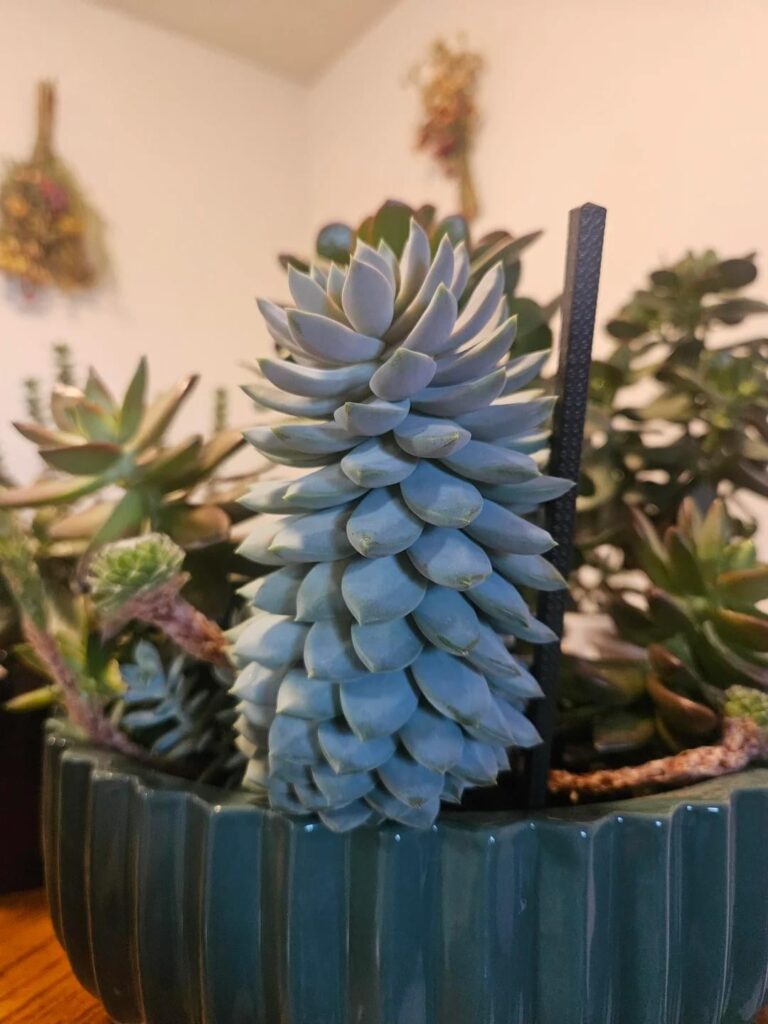 1 YR Progress