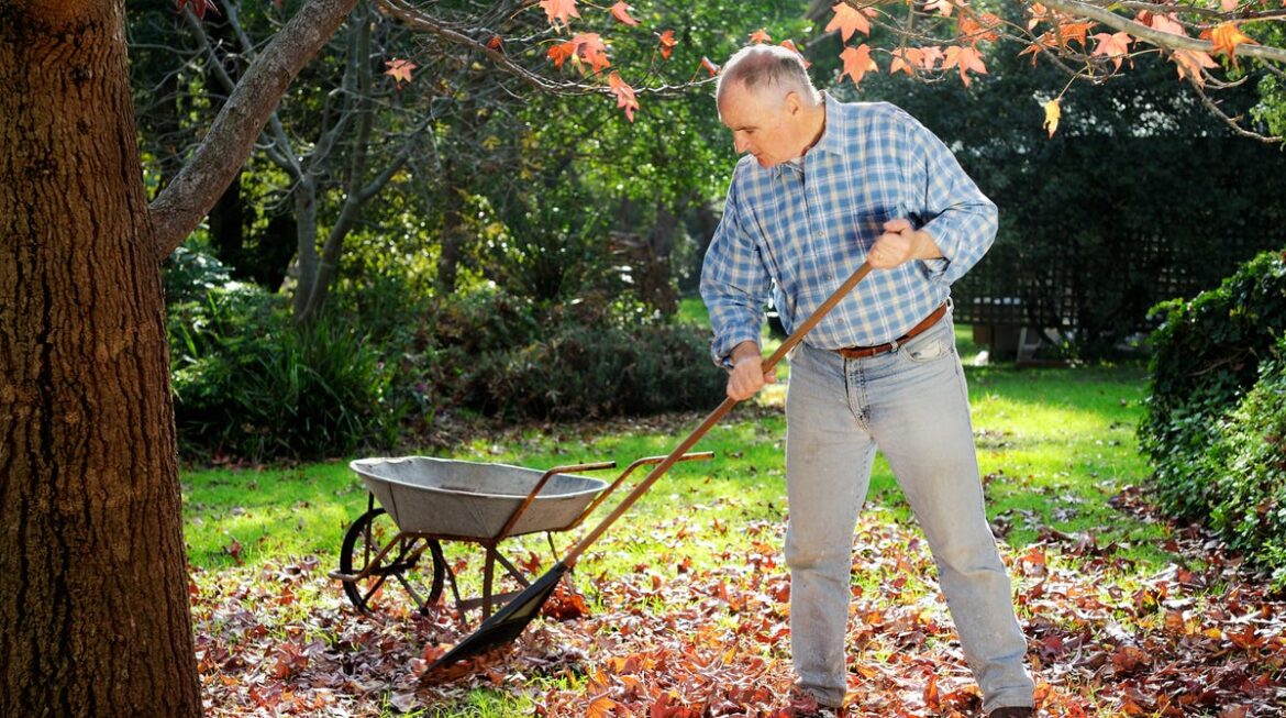 4 reasons why skipping fall yard cleanup is better for the environment 4 reasons why skipping fall yard cleanup is better for the environment