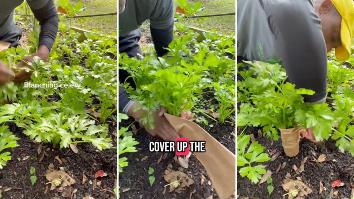 "I was wondering what I was doing wrong."