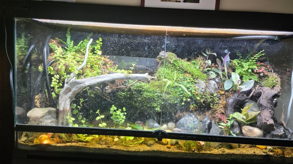 Theyre all watching us aren't they