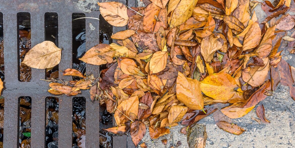 Simple Trick Homeowners Use To Protect Drains From Weather Damage Simple Trick Homeowners Use To Protect Drains From Weather Damage