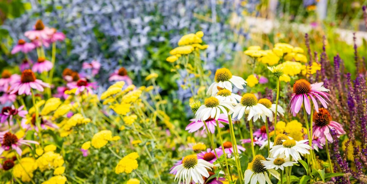 Stop Making This Autumn Gardening Mistake – Let Your Perennials Rot Down Instead Stop Making This Autumn Gardening Mistake – Let Your Perennials Rot Down Instead