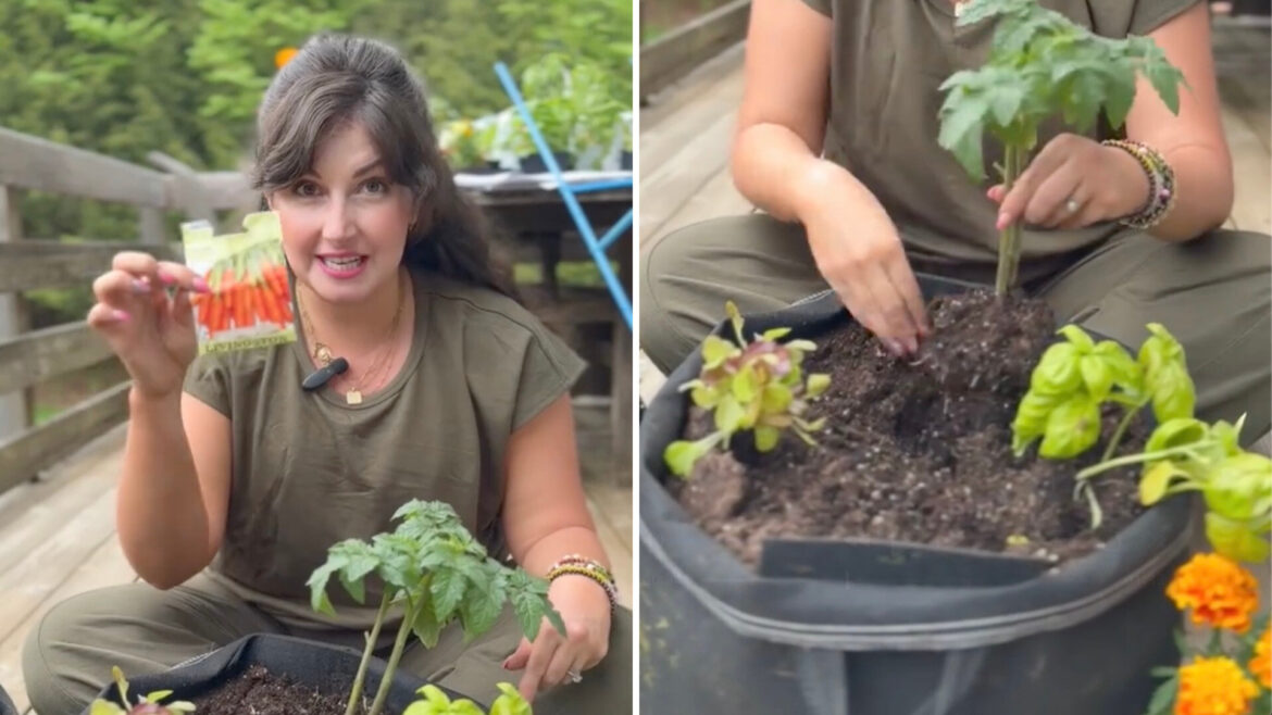 Gardener shares secret to growing lush plants: ‘This is great information’ One expert gardener shared the key to growing an abundant harvest: companion planting.