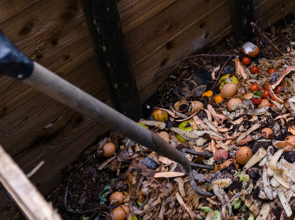 Compost bin house food waste in a composting box outside in northumberland, north east england. there is a pitchfork in the bin, ready to be used to mix the mulch around.