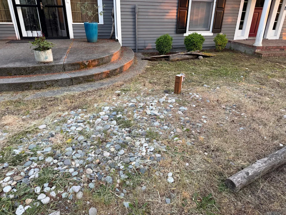 A before photo of the author's landscaping project before starting the process.