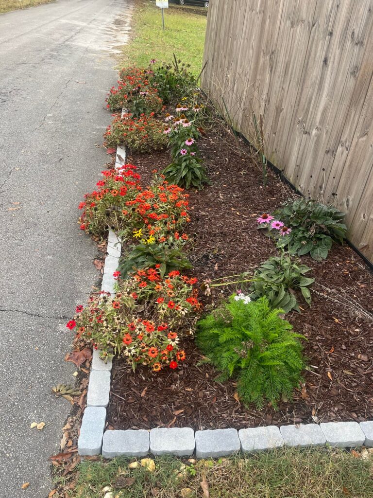 Still going (if not strong)