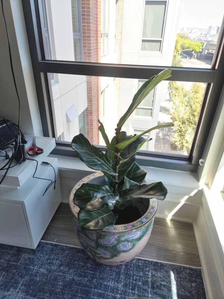 Does this placement in my house look okay? Does this placement in my house look okay?
