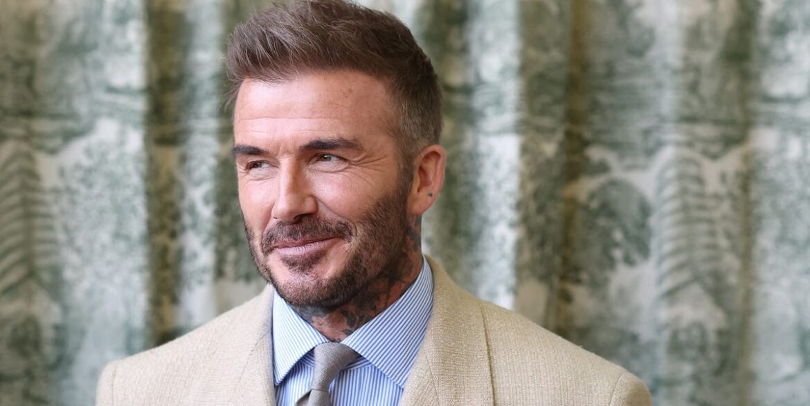 David Austin Roses Scores With A White Rose Inspired By David Beckham David Austin Roses Scores With A White Rose Inspired By David Beckham