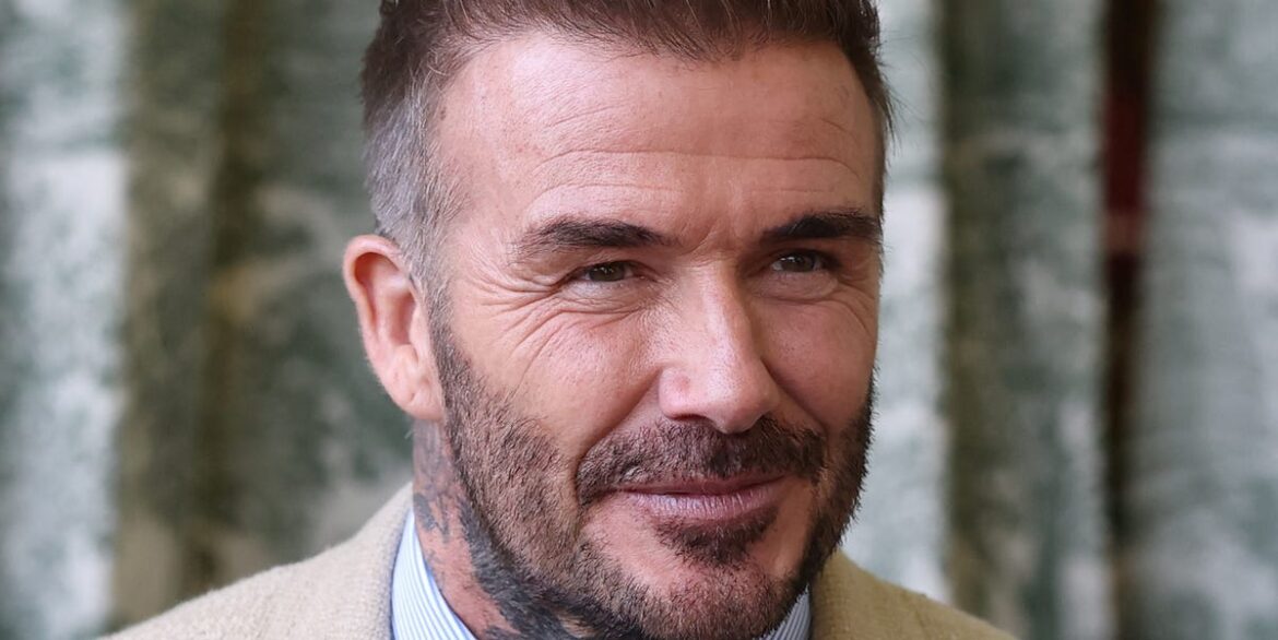 David Austin Roses Unveils A Beautiful New Rose Named After Sir David Beckham David Austin Roses Unveils A Beautiful New Rose Named After Sir David Beckham
