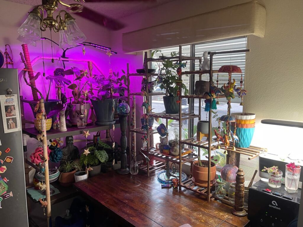 How long should this light stay on my plants?