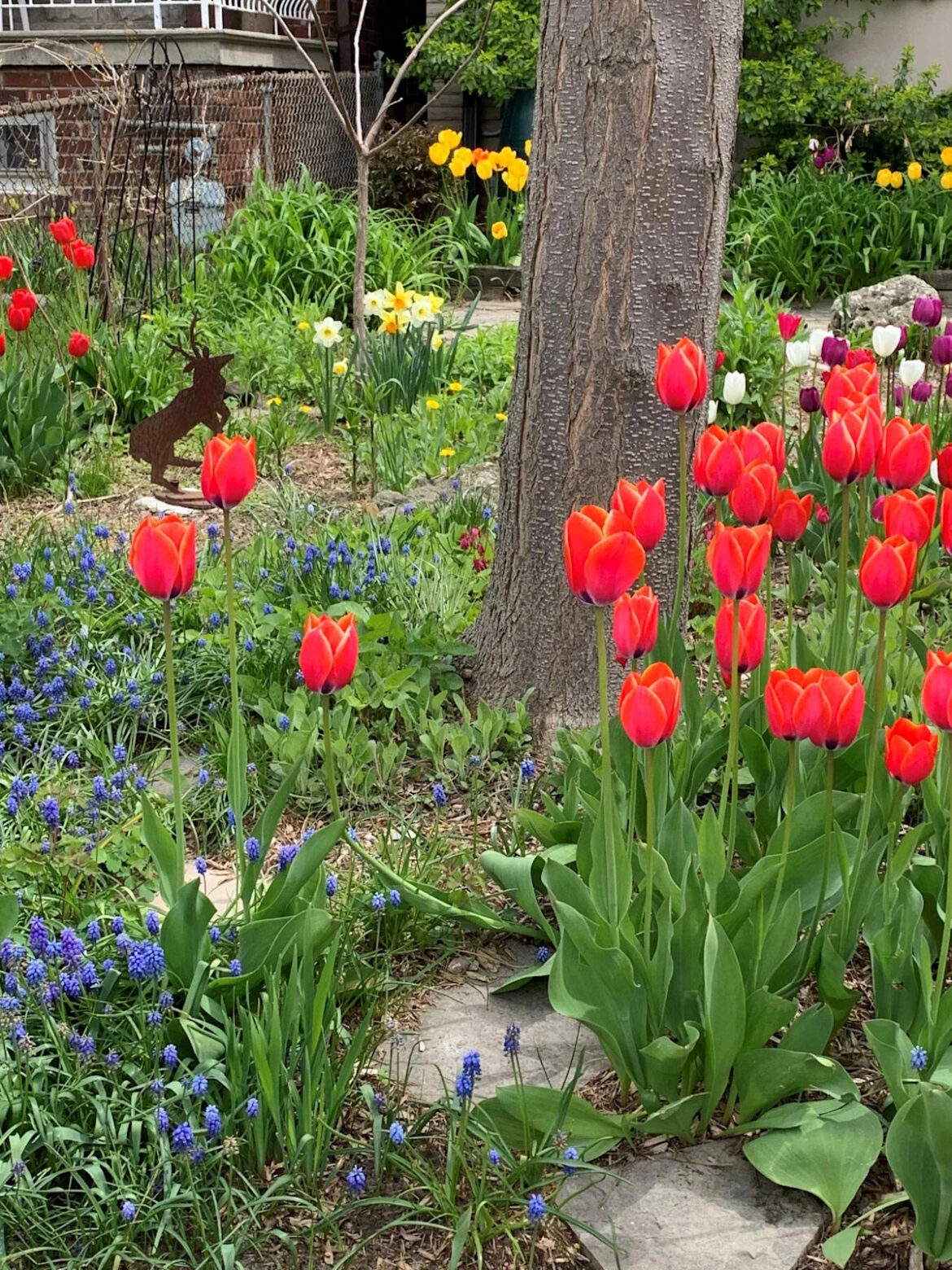 The City Gardener: A light (bulb) moment