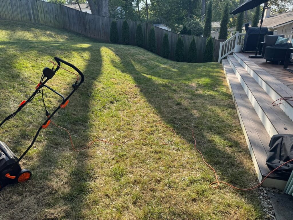 Month of progress - DMV