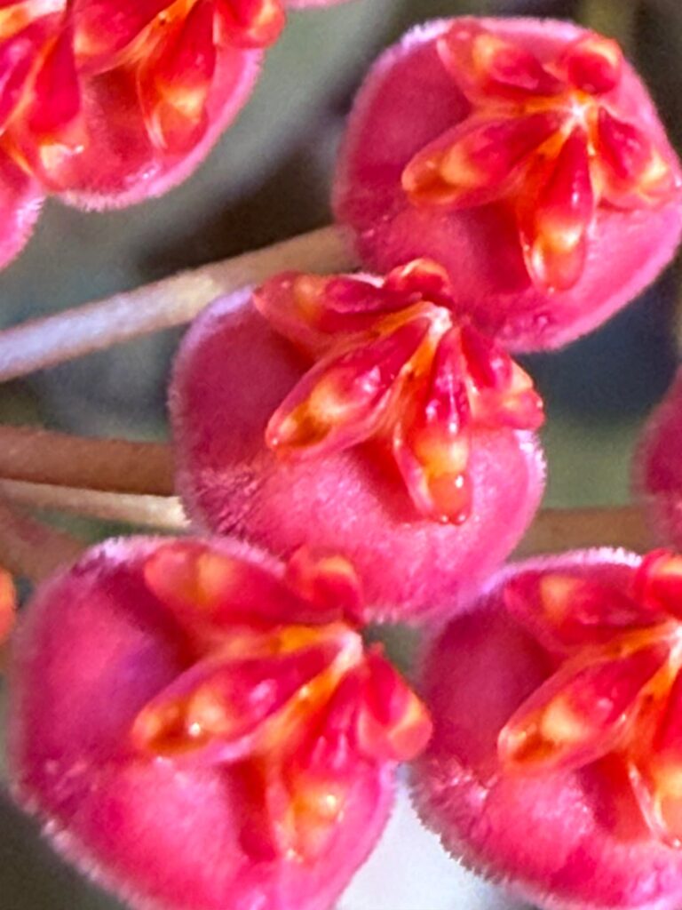 Well it Finally Happened