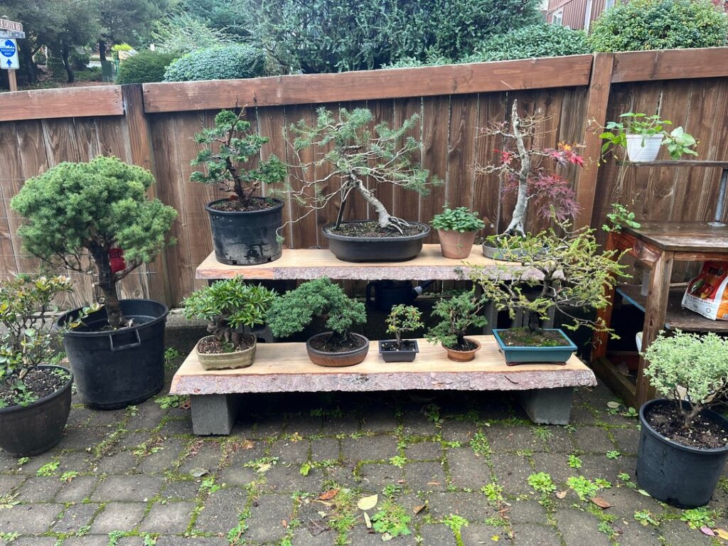 Just finished making some tables out of some slabs I had sitting in my garage.
