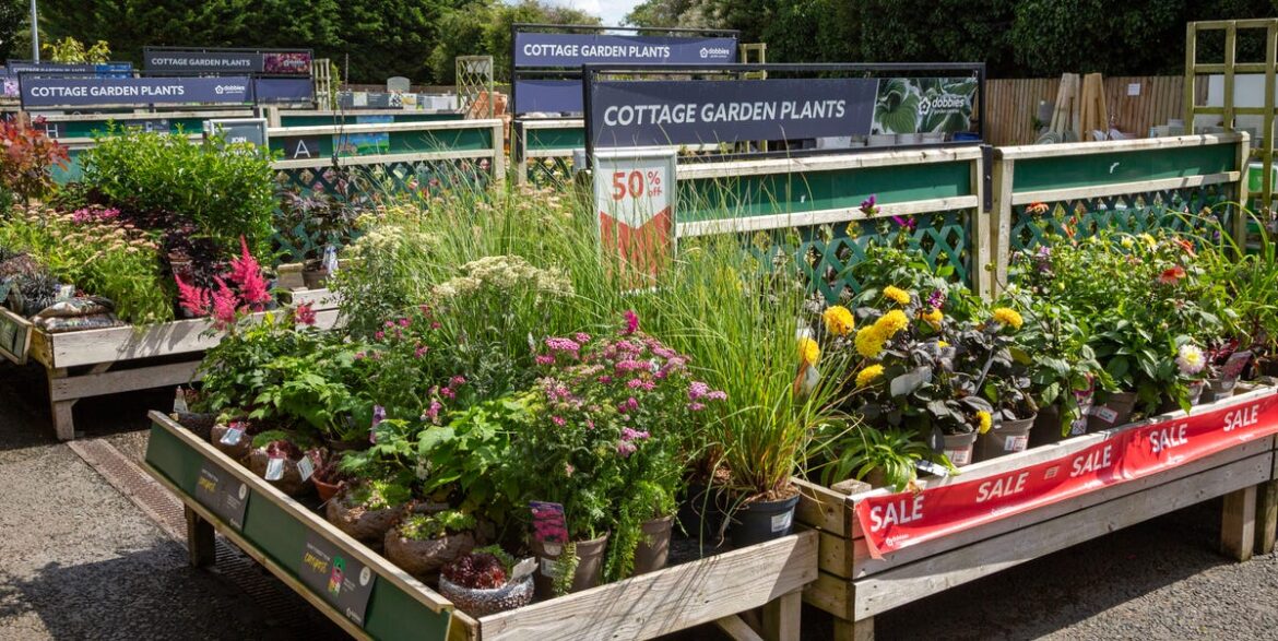 Full List Of All The Dobbies Garden Centres That Closed Across UK In 2025 Full List Of All The Dobbies Garden Centres That Closed Across UK In 2025