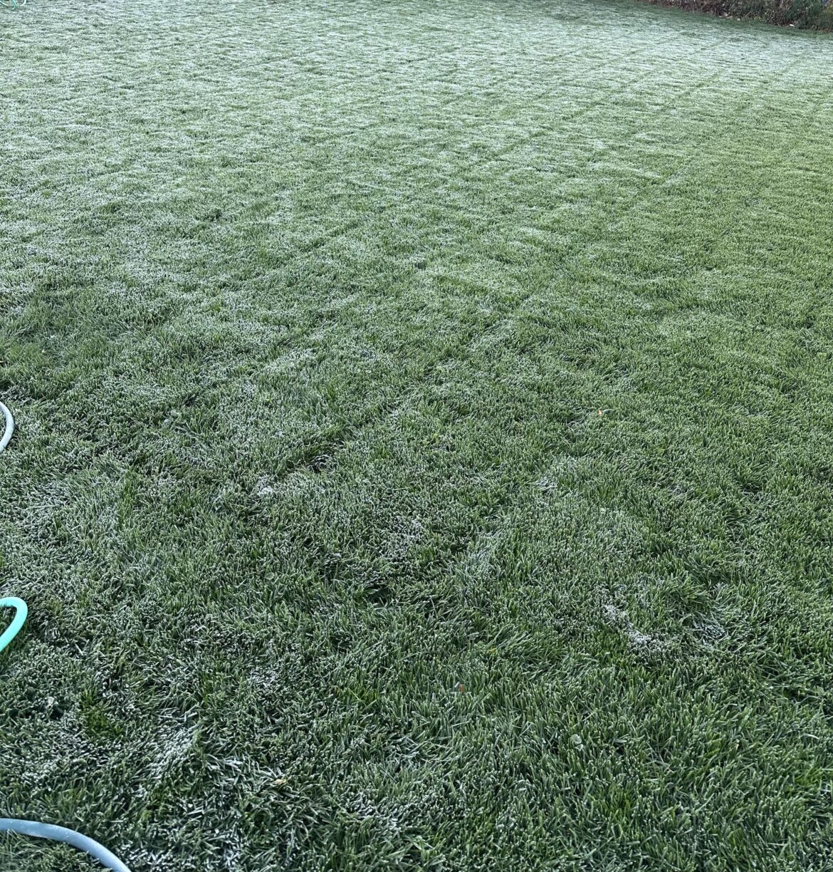 Stop watering after frost?