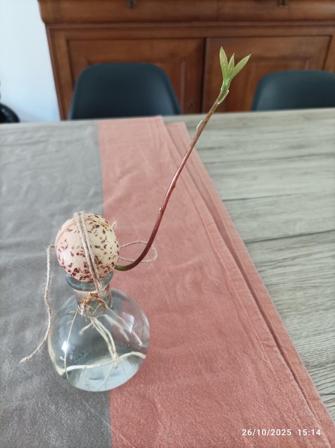 In the ground or not?