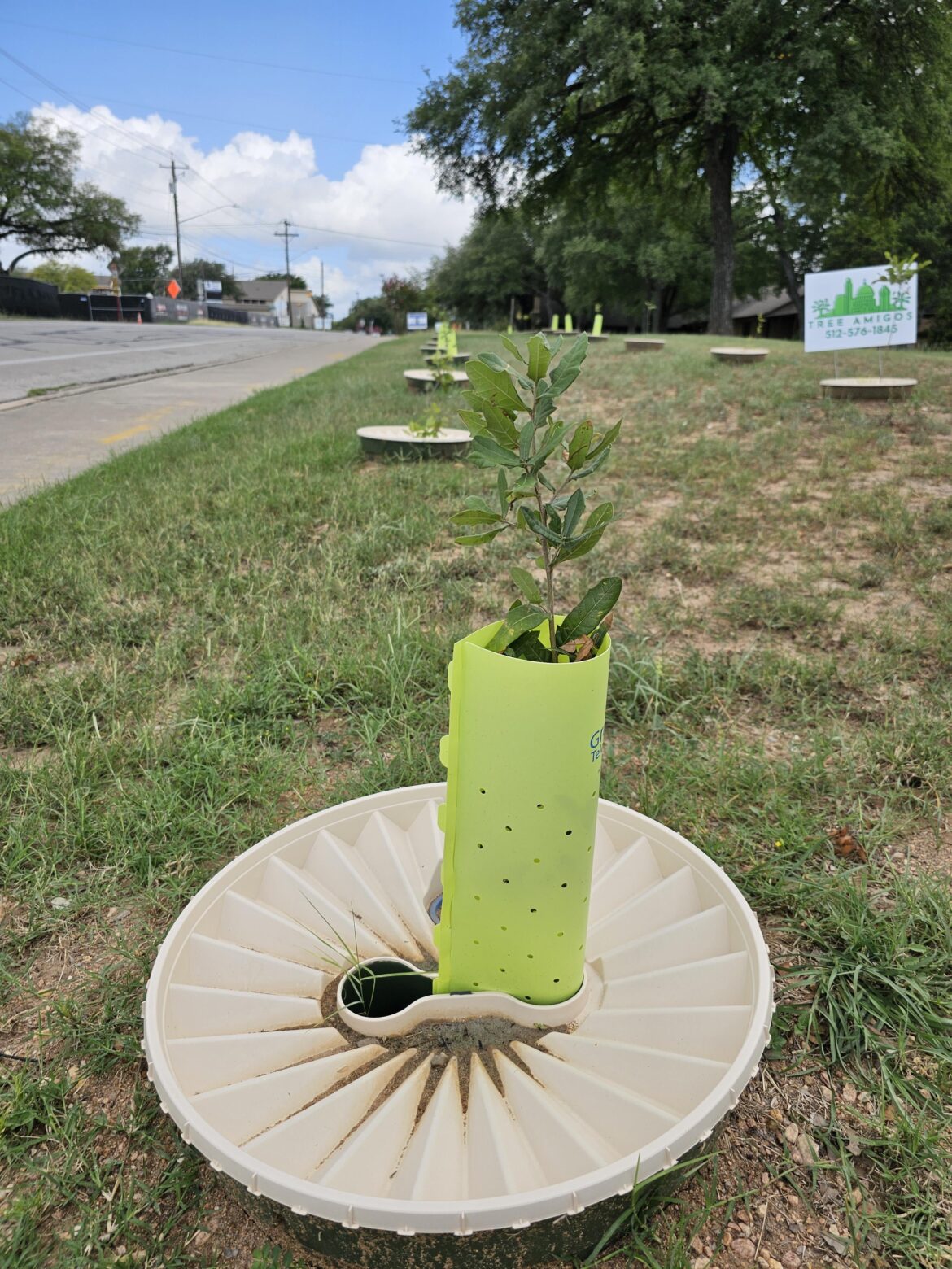 Looking for 10 Homeowner Volunteers for the Shade Our Streets Pilot Program
