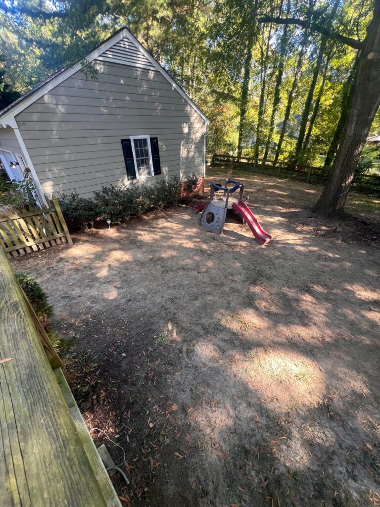 Hoping to transform my backyard