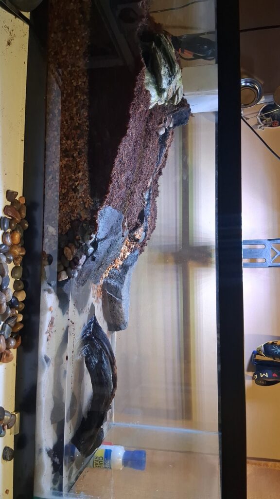 Paludarium Paludarium