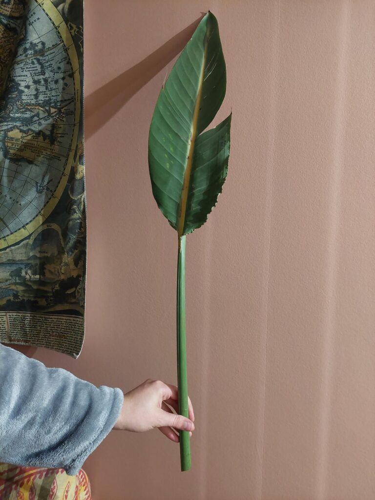Propagation possible ?