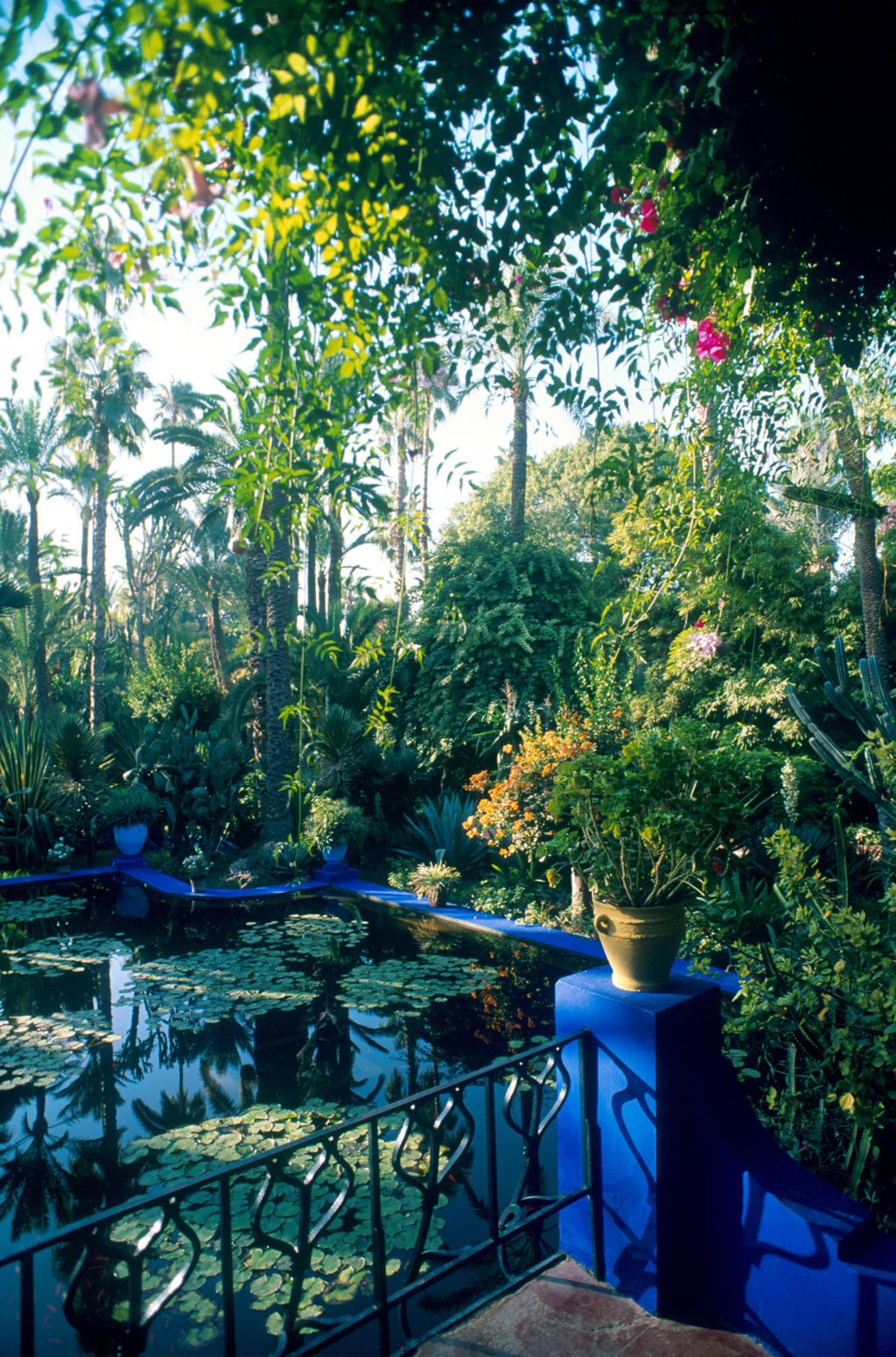 Find inspiration in the tranquil Jardin Majorelle in Marrakech, restored by the late Yves Saint Laurent, and now open to the public. Photo: Getty Images