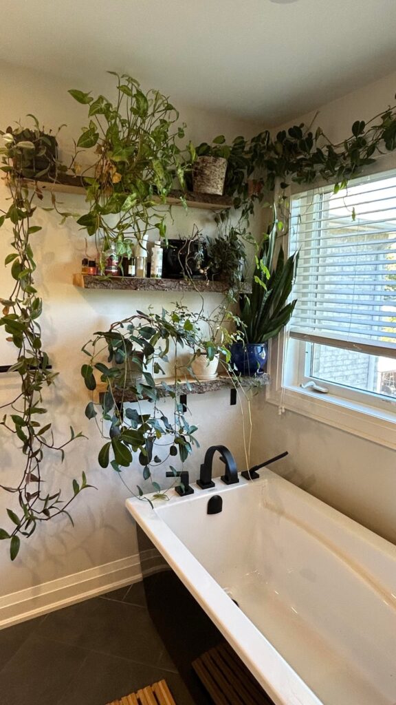 5 years growing this bathroom rain forest!! 5 years growing this bathroom rain forest!!