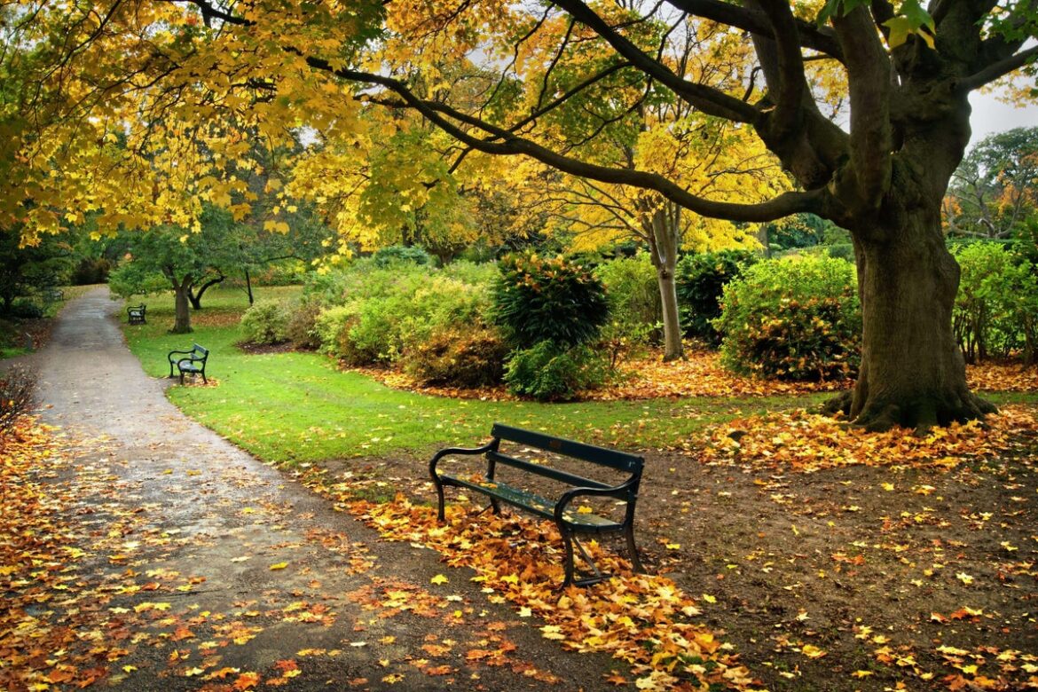 Why Britain’s historic gardens and parks are now ‘at risk’ Why Britain’s historic gardens and parks are now ‘at risk’