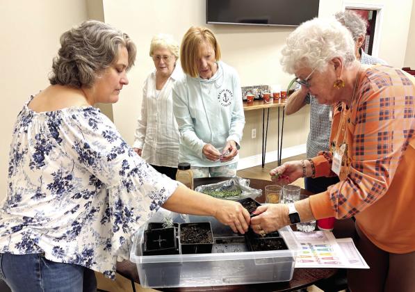 At the October meeting of Gray Garden Club, Tia Litke of Bramble Bottom Farms in Haddock presented a program entitled Lavender, about healing properties of lavender and how to propagate. She brought fresh cuttings and dried flowers for members.