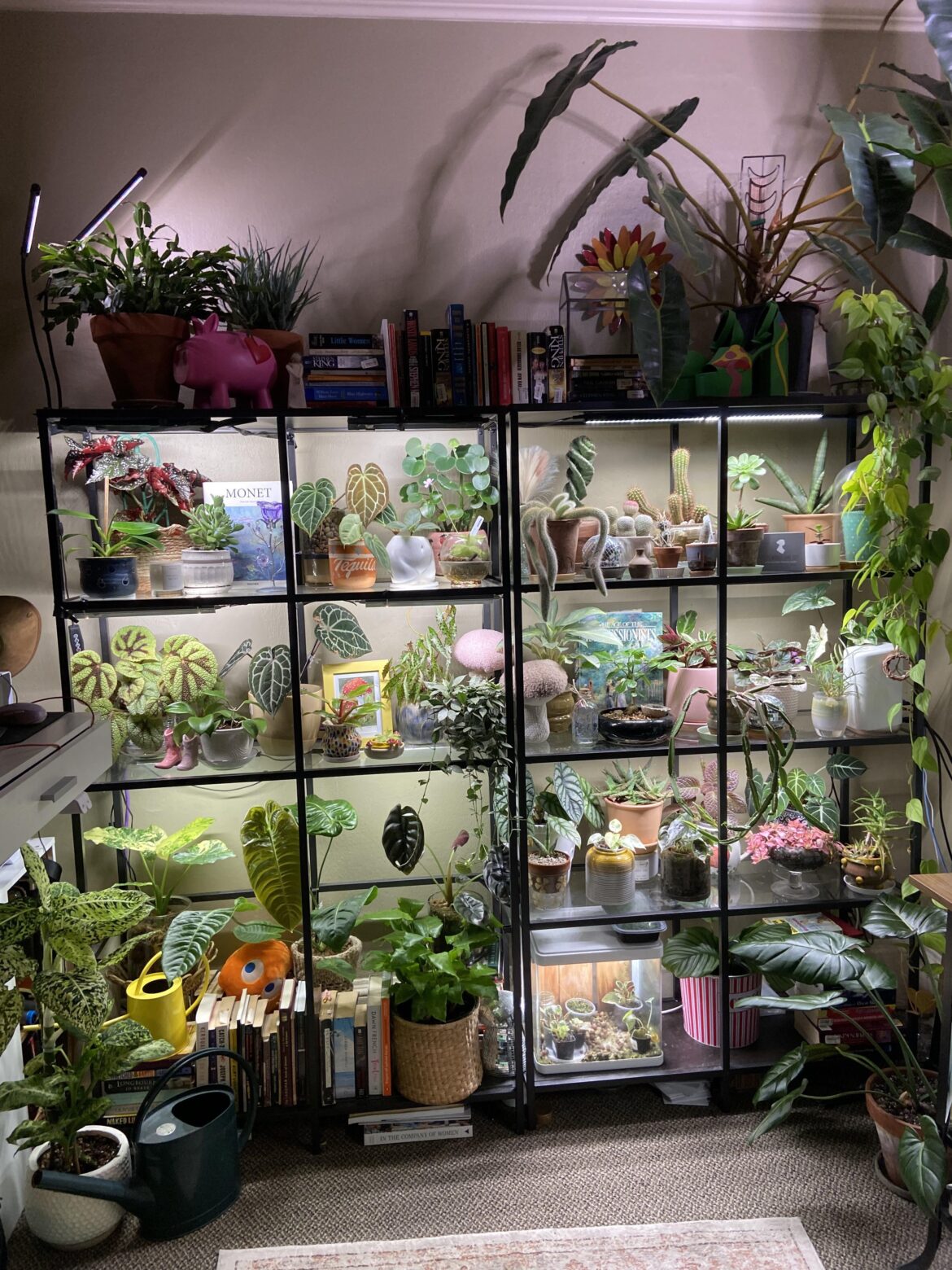 I just wiped down every single leaf on this shelf