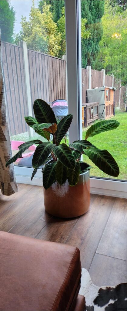 Does this look ok???