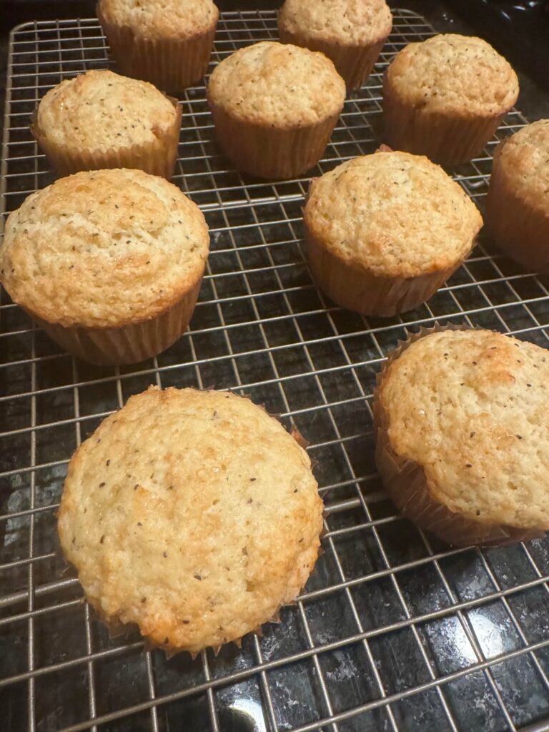 Anise Hyssop seed muffins