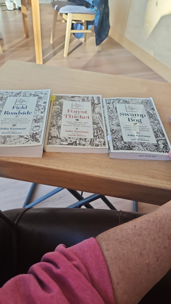 New to me books, highly recommend New to me books, highly recommend