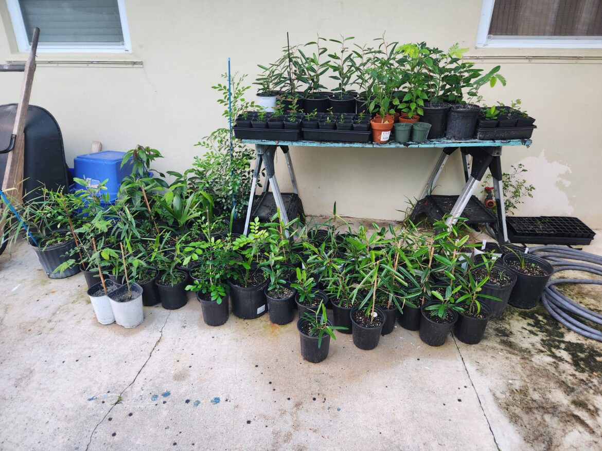 Am I the only one who grows my own? SE Florida.