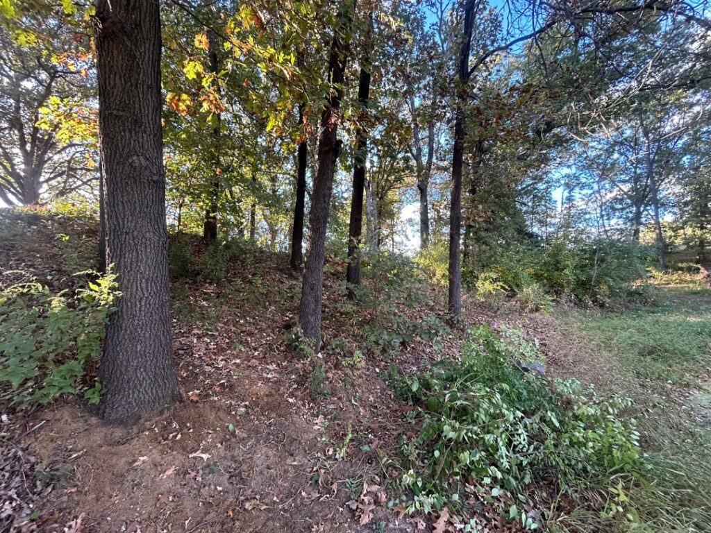 Removed a shit ton of invasives even though it doesn’t really look like it. How do you feel after fighting the good fight? Removed a shit ton of invasives even though it doesn’t really look like it. How do you feel after fighting the good fight?