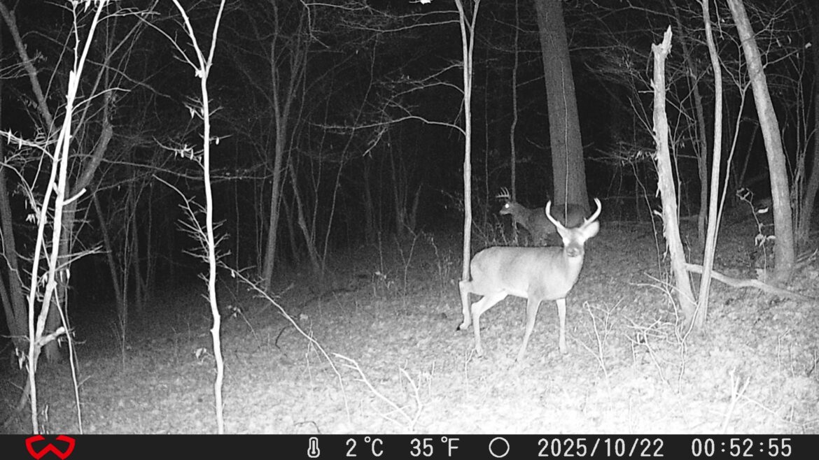 13 acres in the southern tier