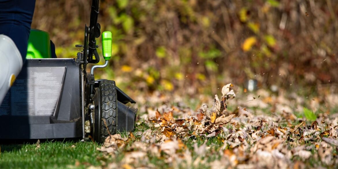 The Exact Time To Stop Mowing Your Lawn Before Winter The Exact Time To Stop Mowing Your Lawn Before Winter