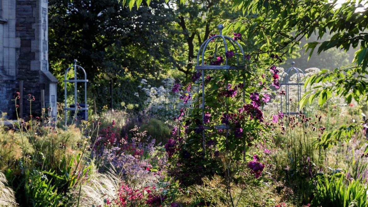 Garden full of blooms with trellises in borders