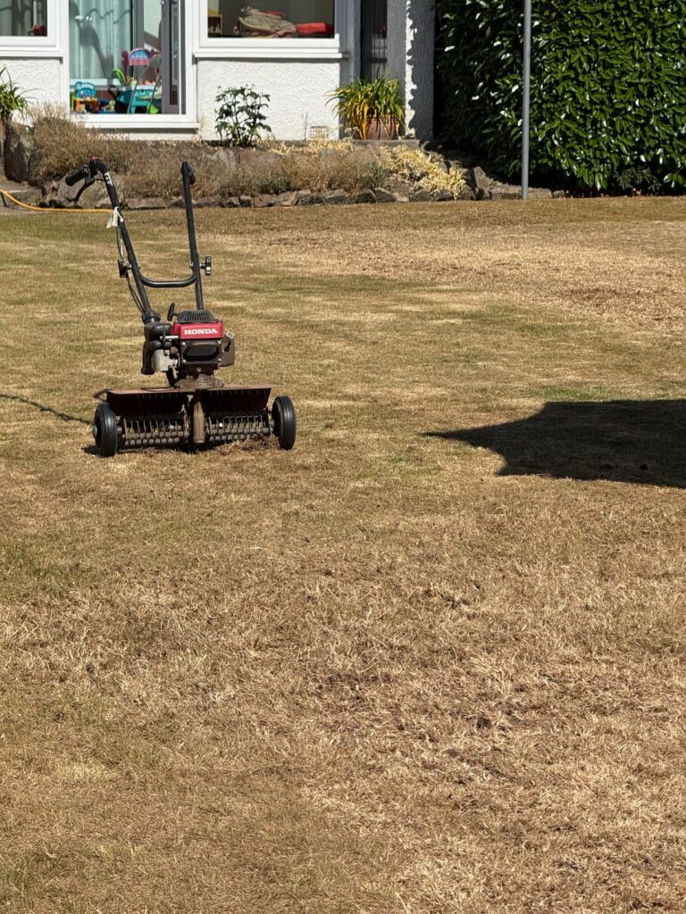 Lawn Renovation uk Yorkshire Lawn Renovation uk Yorkshire