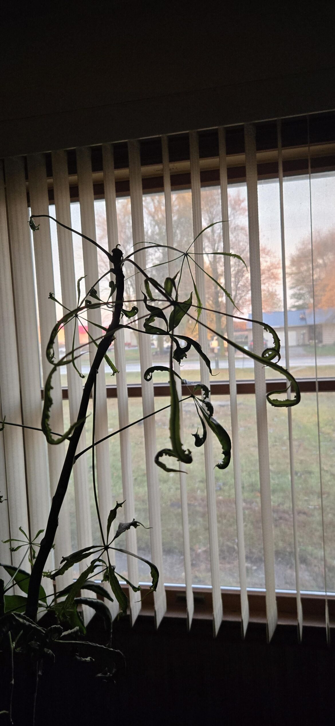 Nothing is wrong with it stop lying