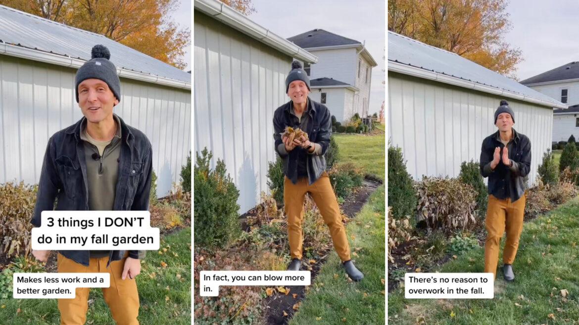 ‘I’m so lazy I can totally do this’ Commenters appreciated hearing that they could actually improve their garden by doing less work.