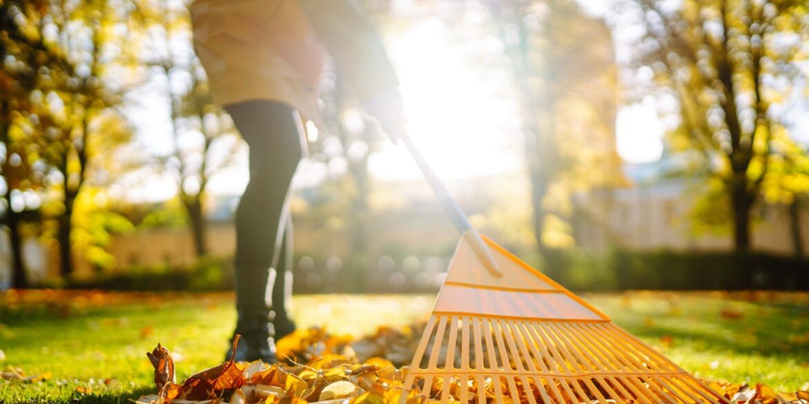 8 Fall Gardening Tips That Every Home Gardener Should Know 8 Fall Gardening Tips That Every Home Gardener Should Know