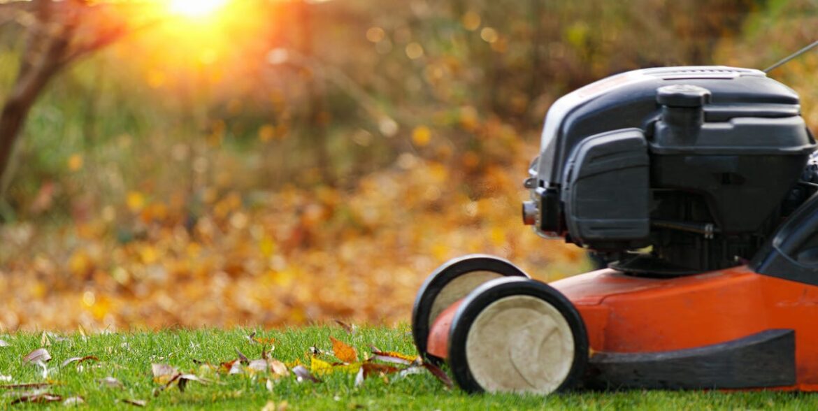 Follow This Fall Lawn Care Guide to Keep Your Yard Healthy Follow This Fall Lawn Care Guide to Keep Your Yard Healthy