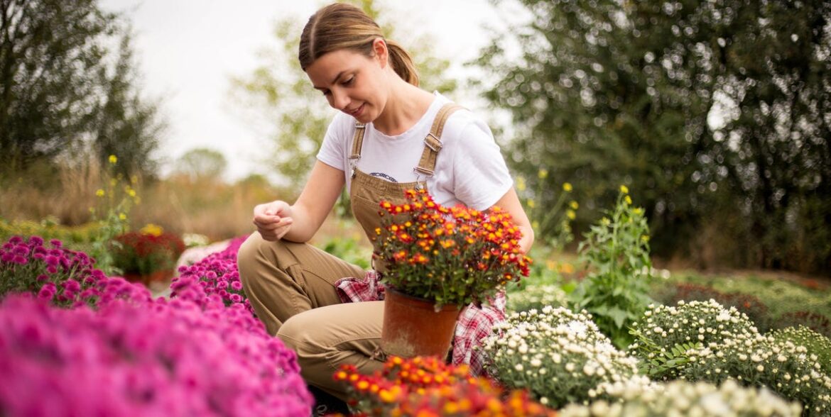 Why Fall Planting Is Best for a Spring Garden