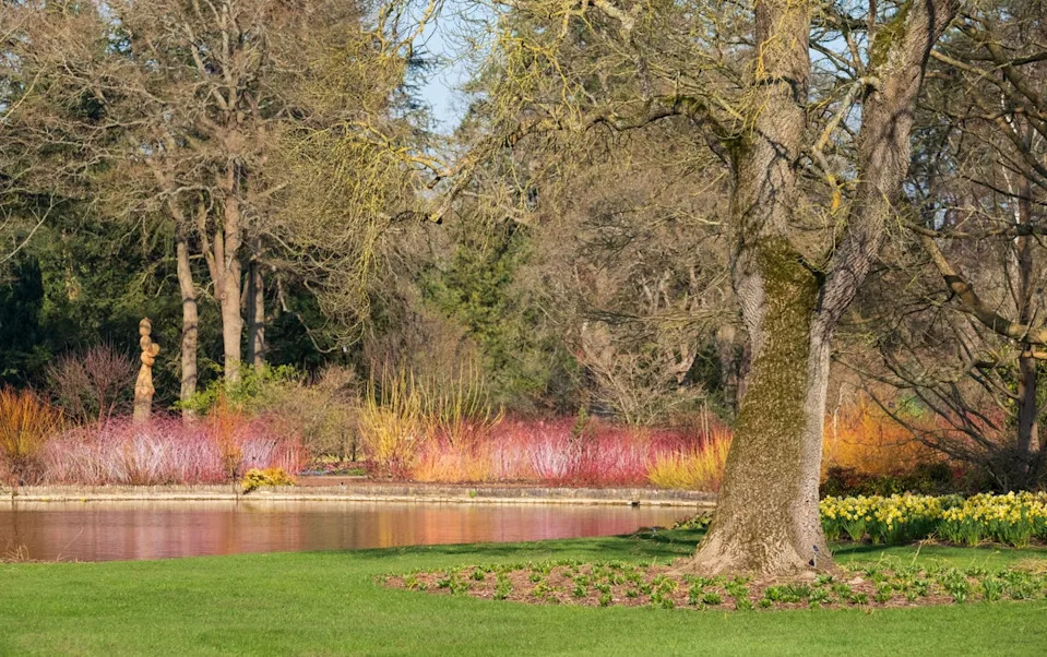 At RHS Garden Wisley, more than 20 native species have been hand-reared on agar (Lois GoBe/Alamy Stock Photo/PA)