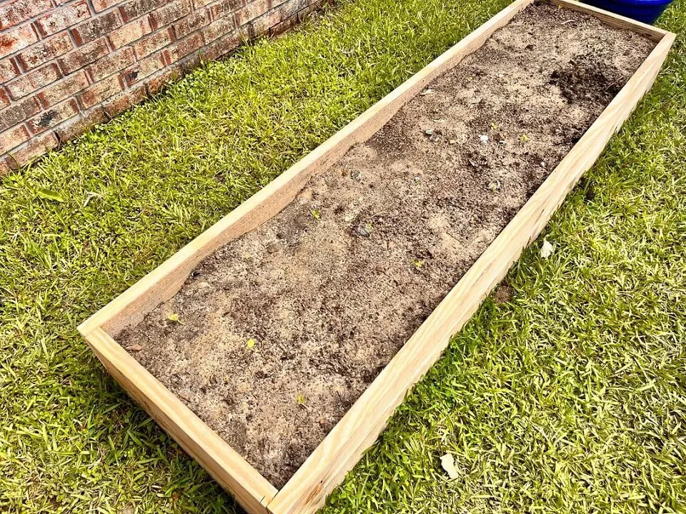 "It all works fine once you amend the soil."